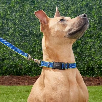 Show full view: Frisco Patterned Nylon Dog Collar, Lime Polka Dot, Large: 18 to 26-in neck, 1-in wide slide 3 of 7