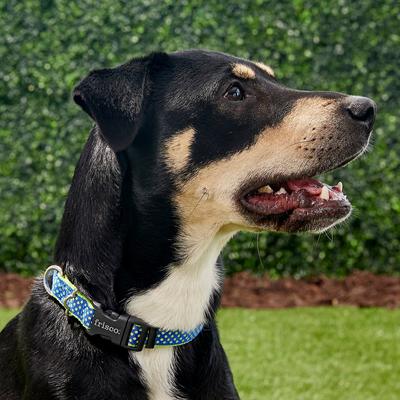 Show full view: Frisco Patterned Nylon Dog Collar, Lime Polka Dot, Med: 14 to 20-in neck, 3/4-in W slide 3 of 7