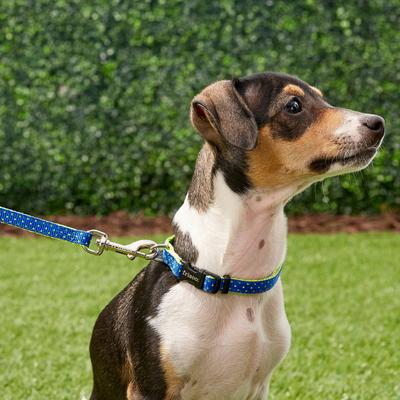 Show full view: Frisco Patterned Nylon Dog Leash, Lime Polka Dot, X-Small: 6-ft long, 3/8-in wide slide 2 of 7