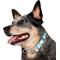Show in main carousel: Frisco Patterned Polyester Dog Collar, Barcode Stripe Baltic Teal, Medium slide 3 of 10