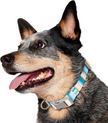 Show full view: Frisco Patterned Polyester Dog Collar, Barcode Stripe Baltic Teal, Medium slide 3 of 10