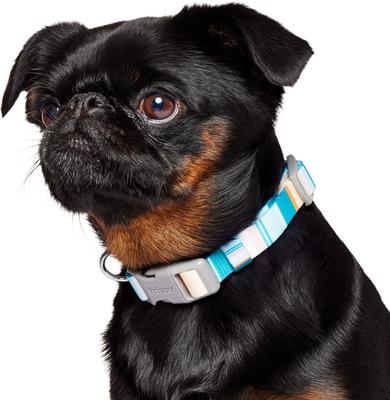 Show full view: Frisco Patterned Polyester Dog Collar, Barcode Stripe Baltic Teal, Small slide 4 of 11