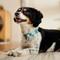 Show in main carousel: Frisco Patterned Polyester Dog Collar, Barcode Stripe Baltic Teal, Small slide 7 of 11