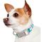 Show in main carousel: Frisco Patterned Polyester Dog Collar, Barcode Stripe Baltic Teal, X-Small slide 3 of 10