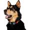 Show in main carousel: Frisco Patterned Polyester Dog Collar, Diagonal Night Stripe, Large/X-Large slide 4 of 11