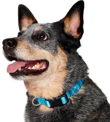 Show full view: Frisco Patterned Polyester Dog Collar, River Watercolor, Medium slide 3 of 10