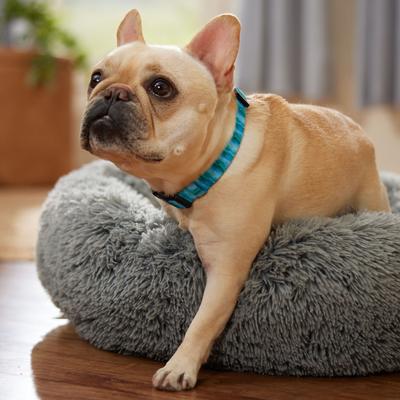 Show full view: Frisco Patterned Polyester Dog Collar, River Watercolor, Medium slide 6 of 10