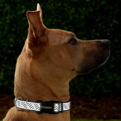 Show full view: Frisco Patterned Polyester Reflective Dog Collar, Wavy Lines, Large: 18 to 26-in neck, 1-in wide slide 3 of 8