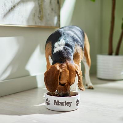 Show full view: Frisco Paw Print Ceramic Personalized Dog Bowl, 5 cup slide 6 of 8