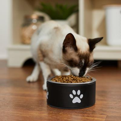 Show full view: Frisco Paw Print Non-Skid Stainless Steel Dog & Cat Bowl, Black, Small: 1 cup slide 4 of 9