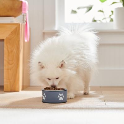 Show full view: Frisco Paw Print Non-Skid Stainless Steel Dog & Cat Bowl, Blueberry, Small: 1 cup slide 3 of 9