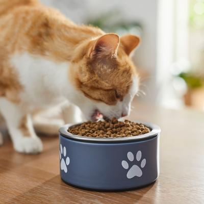 Show full view: Frisco Paw Print Non-Skid Stainless Steel Dog & Cat Bowl, Blueberry, Small: 1 cup slide 4 of 9