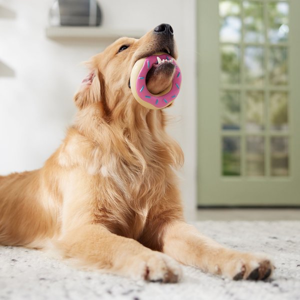 Show full view: Frisco Peanut Butter Flavored Donut Rubber Chew Dog Toy for Heavy Chewers, Large/X-Large slide 5 of 9
