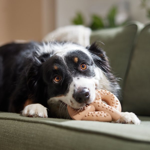 Show full view: Frisco Peanut Butter Flavored Pretzel Rubber Chew Dog Toy for Heavy Chewers, Large/X-Large slide 5 of 9