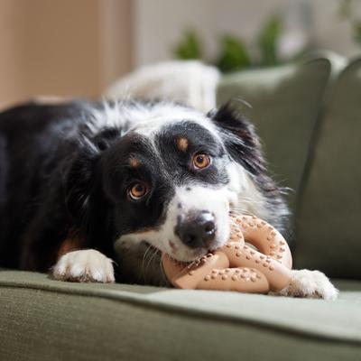 Frisco Peanut Butter Flavored Pretzel Rubber Chew Dog Toy for Heavy Chewers