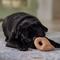 Show in main carousel: Frisco Peanut Butter Flavored Pretzel Rubber Chew Dog Toy for Heavy Chewers, Small/Medium slide 5 of 9