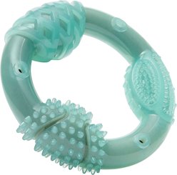 Frisco Peanut Butter Flavored Ring Nylon & TPR Dental Chew Dog Toy for Moderate Chewers, Large/X-Large