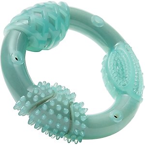 Frisco Peanut Butter Flavored Ring Nylon & TPR Dental Chew Dog Toy for Moderate Chewers, Large/X-Large