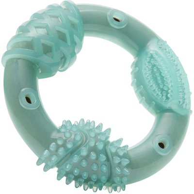 Frisco Frisco Peanut Butter Flavored Ring Nylon & TPR Dental Chew Dog Toy for Moderate Chewers, Small/Medium