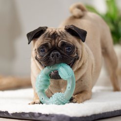 Frisco Peanut Butter Flavored Ring Nylon & TPR Dental Chew Dog Toy for Moderate Chewers, Small/Medium slide 2 of 7