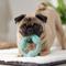 Show in main carousel: Frisco Peanut Butter Flavored Ring Nylon & TPR Dental Chew Dog Toy for Moderate Chewers, Small/Medium slide 5 of 9