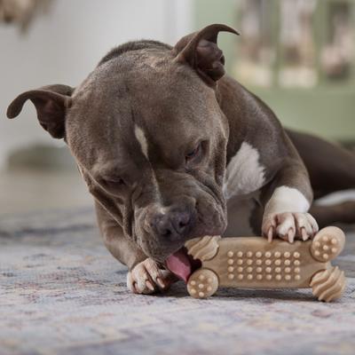 Show full view: Frisco Peanut Butter Flavored Textured Bone Nylon Chew Dog Toy for Heavy Chewers, Large slide 5 of 10