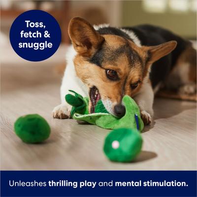 Show full view: Frisco Peapod & Peas 2-in-1 Rip for Surprise Plush Squeaky Dog Toy, Small slide 4 of 6