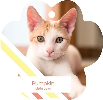 Show full view: Frisco Christmas Peppermint Stripes Paw Shape Metal Personalized Dog & Cat Holiday Ornament slide 3 of 6