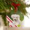 Show in main carousel: Frisco Christmas Peppermint Stripes Paw Shape Metal Personalized Dog & Cat Holiday Ornament slide 4 of 6