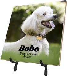 Frisco Personalized Basic Ceramic Photo Tile with Stand, 8" x 8"