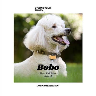 Show full view: Frisco Personalized Basic Ceramic Photo Tile with Stand, 8" x 8" slide 2 of 4