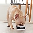 Show in main carousel: Frisco Personalized Black Marble Dog & Cat Bowl, 1 cup slide 4 of 6