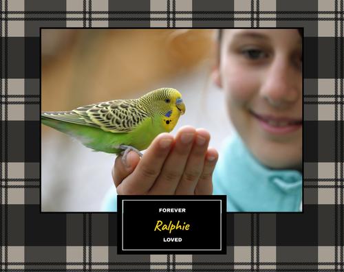 Show full view: Frisco Personalized Buffalo Plaid 8 x 10 Gallery-Wrapped Canvas - Landscape slide 3 of 5