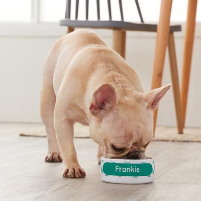 Show full view: Frisco Personalized Chevron Ceramic Dog & Cat Bowl, 1 cup slide 5 of 8