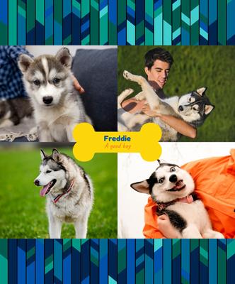 Show full view: Frisco Personalized Contemporary Mosaic with Bone Collage Canvas Poster with Wood Hanger, 16" x 20" slide 3 of 3