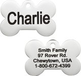 Personalized Dog & Cat ID Tag, Bone, Silver, Regular, Stainless Steel