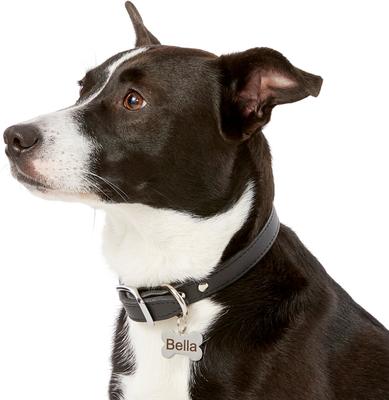 Show full view: Frisco Personalized Dog & Cat ID Tag, Bone, Silver, Small, Stainless Steel slide 6 of 8