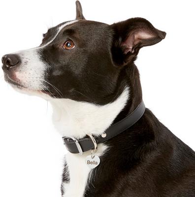 Show full view: Frisco Personalized Dog & Cat ID Tag, Heart, Silver, Small, Stainless Steel slide 6 of 8