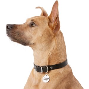Frisco Personalized Dog & Cat ID Tag, Round, Silver, Regular, Stainless Steel