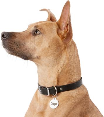 Show full view: Frisco Personalized Dog & Cat ID Tag, Round, Silver, Regular, Stainless Steel slide 6 of 8