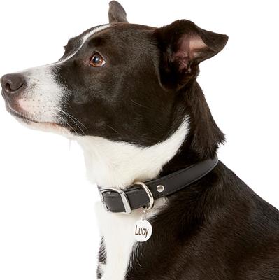 Show full view: Frisco Personalized Dog & Cat ID Tag, Round, Silver, Small, Stainless Steel slide 7 of 9