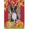 Show in main carousel: Frisco Personalized Double Sided Printed Fall Garden Flag slide 6 of 9