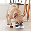 Show in main carousel: Frisco Personalized Mudcloth Small Dog & Cat Bowl, 1 cup slide 4 of 5