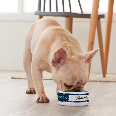 Show full view: Frisco Personalized Mudcloth Small Dog & Cat Bowl, 1 cup slide 4 of 5