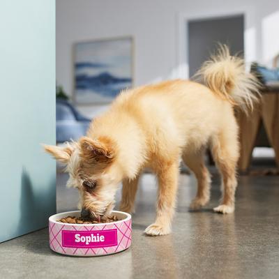 Show full view: Frisco Personalized Plaid Ceramic Dog Bowl, 2.75 cup slide 6 of 8