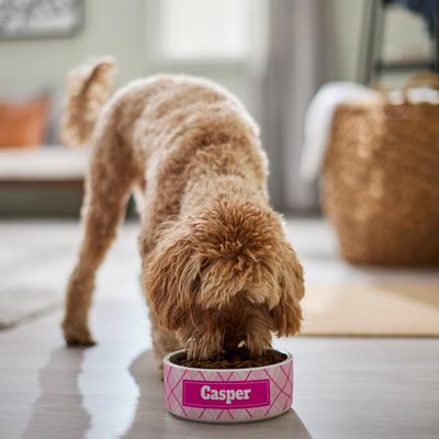 Show full view: Frisco Personalized Plaid Ceramic Dog Bowl, 5 cup slide 5 of 7