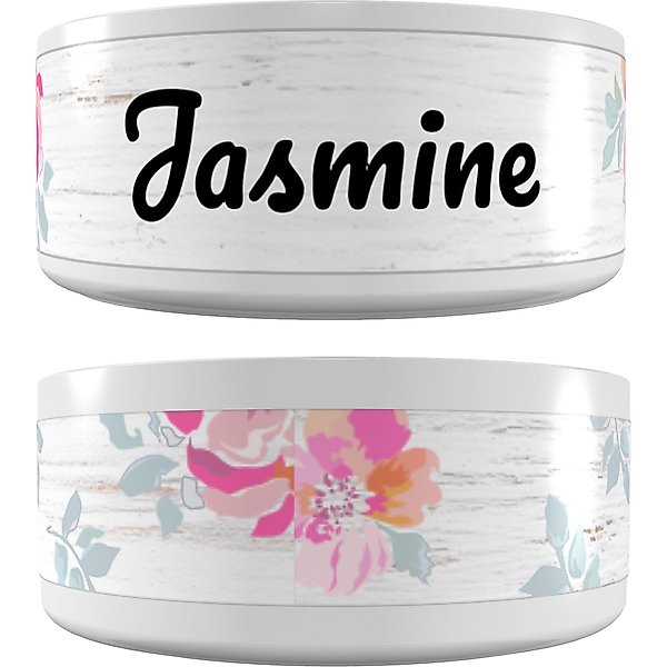Frisco Watercolors Ceramic Personalized Dog Bowl