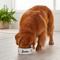 Show in main carousel: Frisco Personalized Rustic Ceramic Dog Bowl, 4.75-cup, 38oz slide 4 of 5