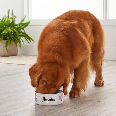 Show full view: Frisco Personalized Rustic Ceramic Dog Bowl, 4.75-cup, 38oz slide 4 of 5