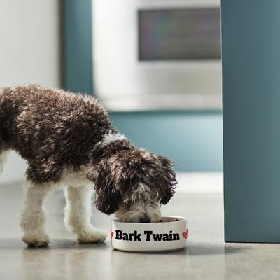Show full view: Frisco Personalized Two Hearts Ceramic Dog Bowl, 2.75 cup slide 5 of 6
